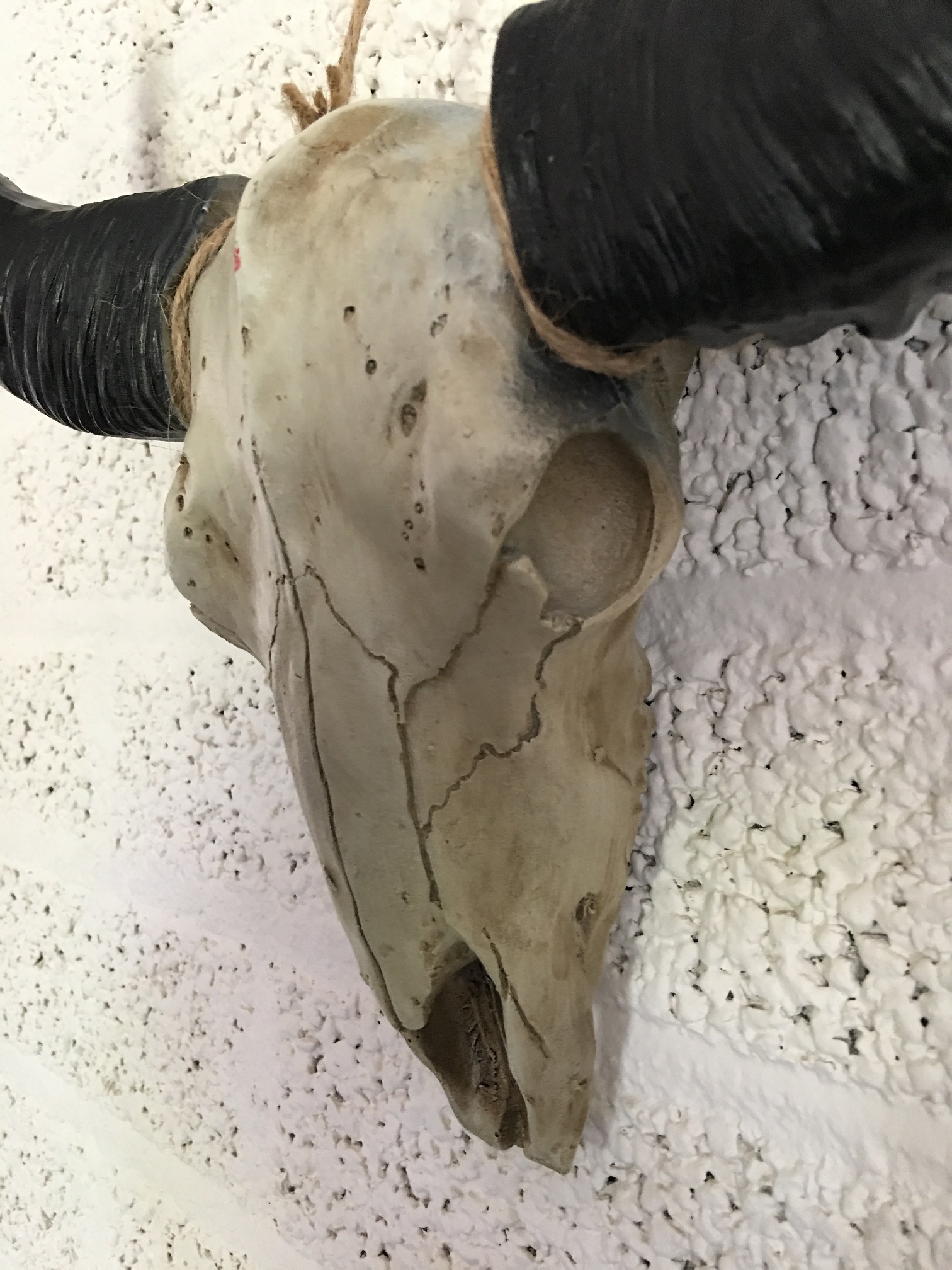 Schädel elfenbeinfarben mit schwarzen Hörnern, massivem Polystein